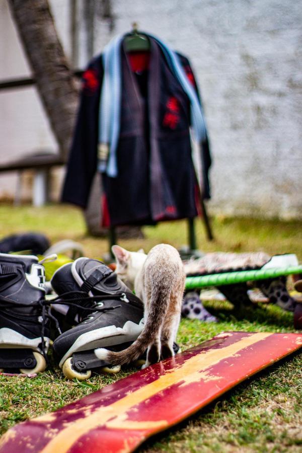 Gato Do Mato Hostel กุมบูกุ ภายนอก รูปภาพ